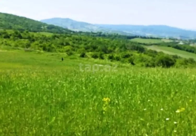 0 m² Obyekt / Ofis , Quba
