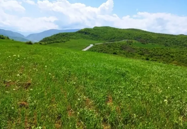 524 sot Torpaq Satılır, Quba