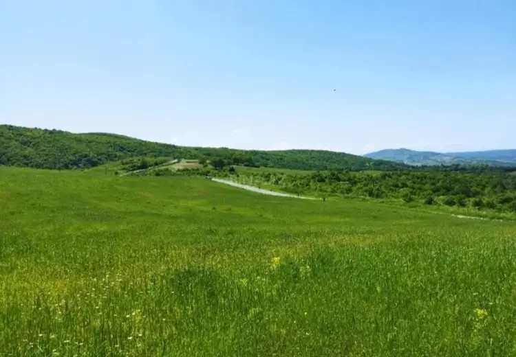 524 sot Torpaq Satılır, Quba