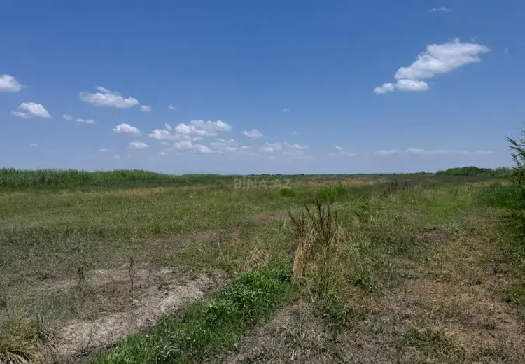 600000 m² Obyekt / Ofis Satılır, Sabirabad