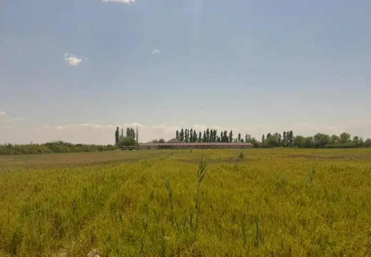 600000 m² Obyekt / Ofis Satılır, Sabirabad