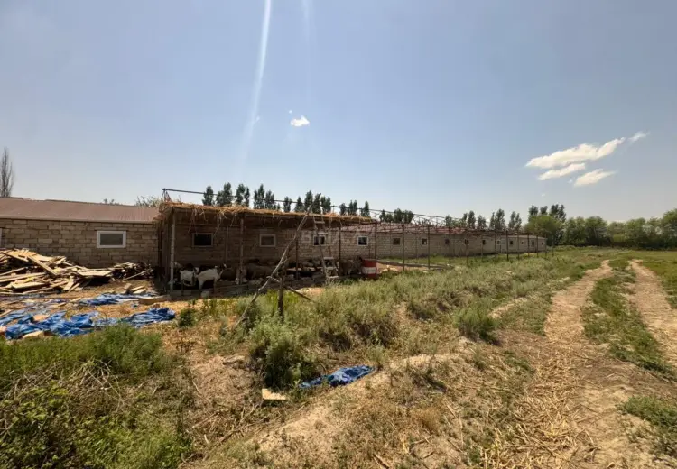 600000 m² Obyekt / Ofis Satılır, Sabirabad