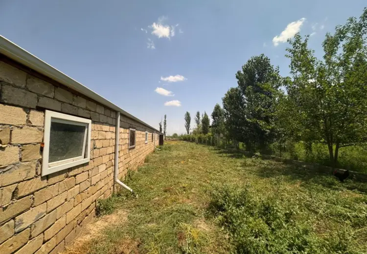 600000 m² Obyekt / Ofis Satılır, Sabirabad