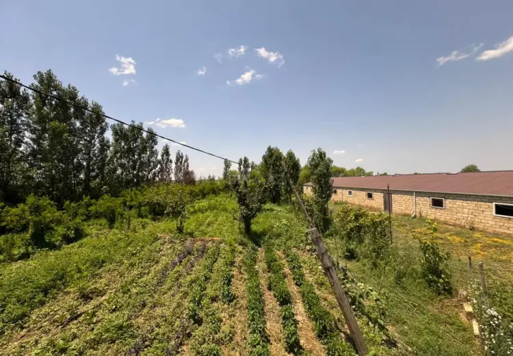 600000 m² Obyekt / Ofis Satılır, Sabirabad