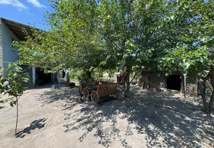 600000 m² Obyekt / Ofis Satılır, Sabirabad