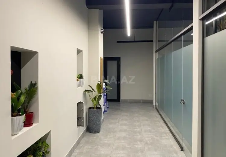40 m² Obyekt / Ofis Kirayə (aylıq), Nəsimi, Bakı