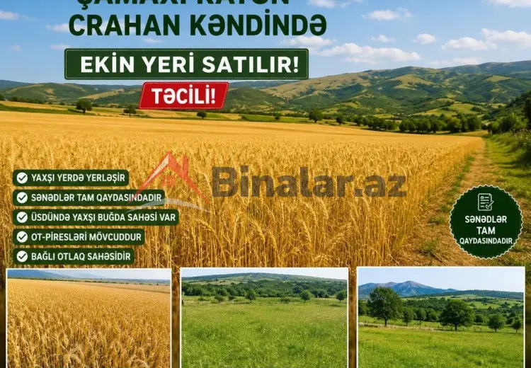 0 sot Torpaq Satılır, Sumqayıt