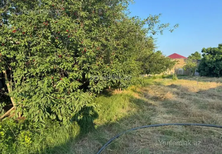 10 sot Torpaq Satılır, Novxanı, Abşeron