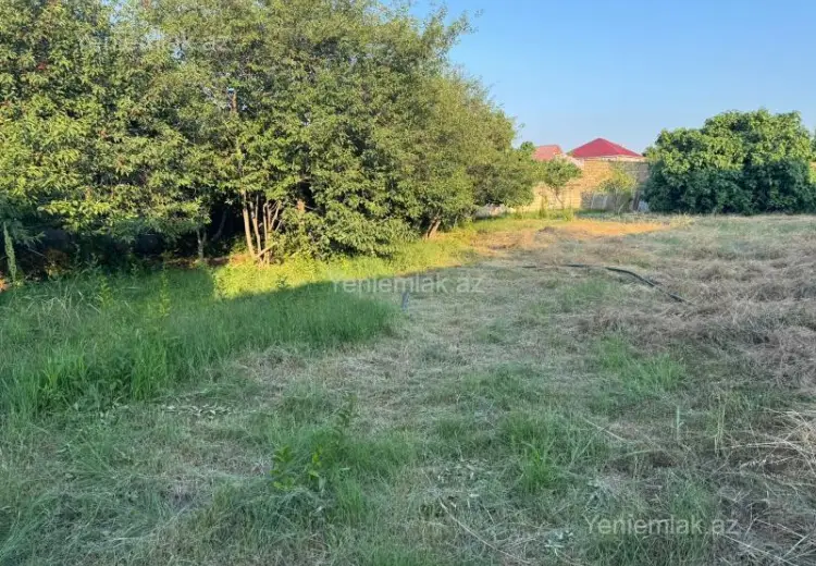 10 sot Torpaq Satılır, Novxanı, Abşeron