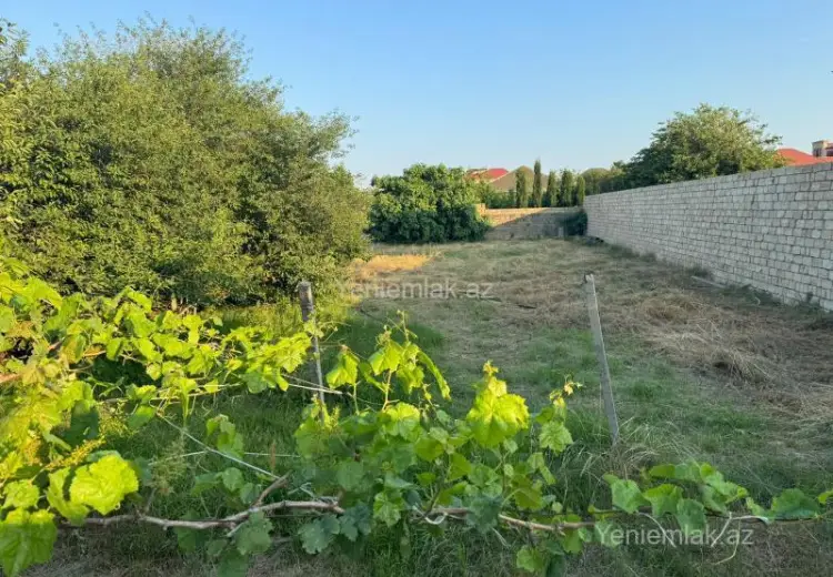 10 sot Torpaq Satılır, Novxanı, Abşeron