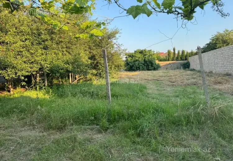 10 sot Torpaq Satılır, Novxanı, Abşeron