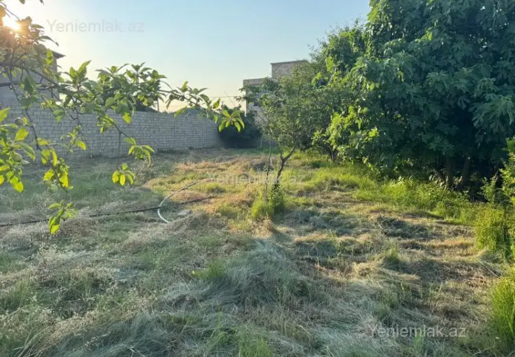 10 sot Torpaq Satılır, Novxanı, Abşeron