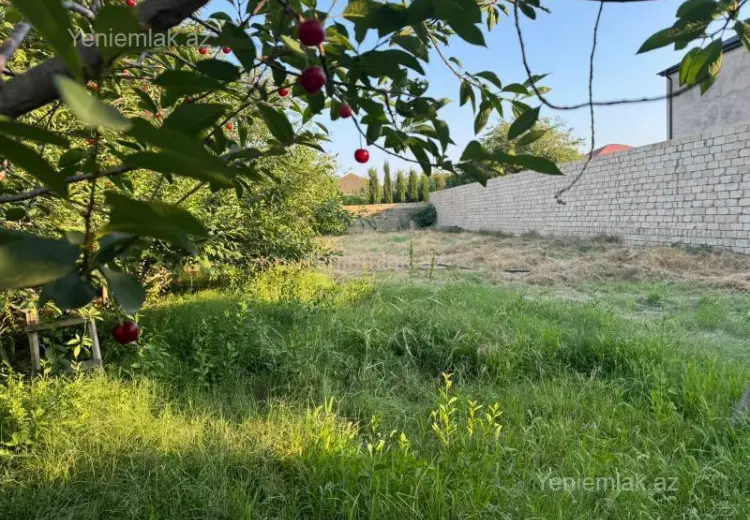 10 sot Torpaq Satılır, Novxanı, Abşeron