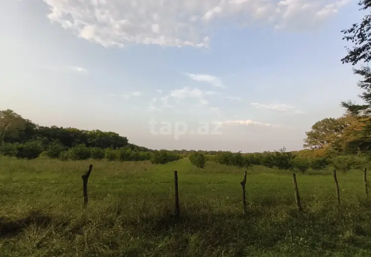 0 m² Obyekt / Ofis , Xaçmaz