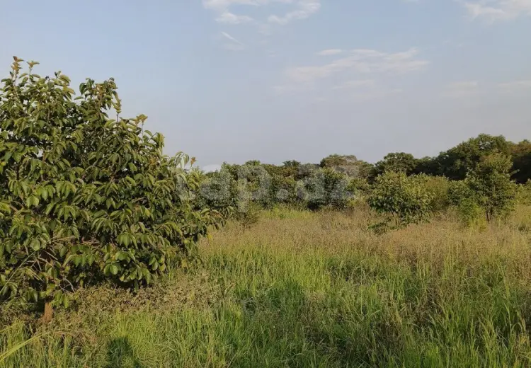 0 m² Obyekt / Ofis , Xaçmaz