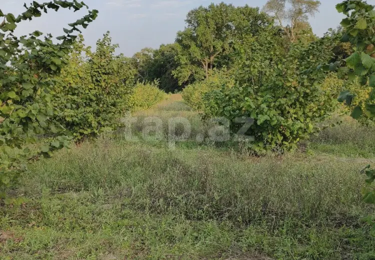0 m² Obyekt / Ofis , Xaçmaz