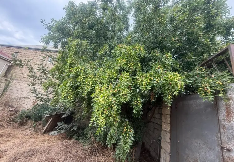 2 otaqlı mənzil Satılır, Hövsan qəs., Suraxanı, Bakı