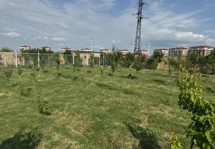 4800 m² Obyekt / Ofis Satılır, Bərdə