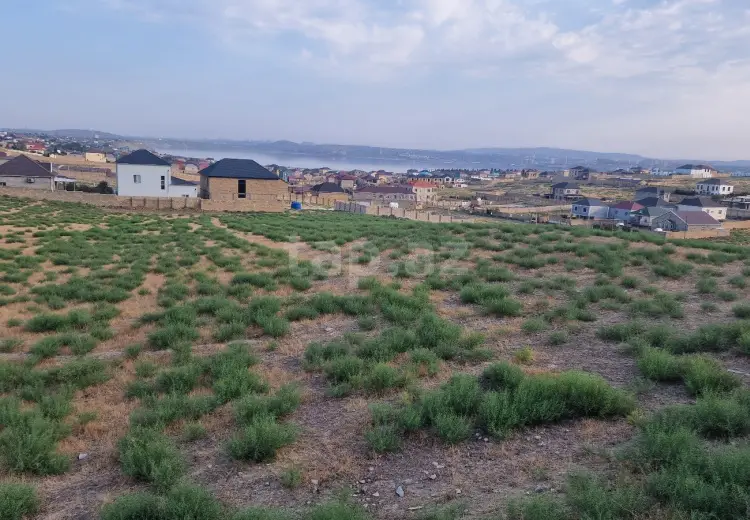 0 m² Obyekt / Ofis , Novxanı, Abşeron