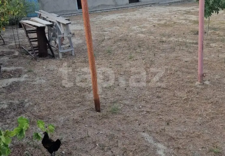 0 m² Obyekt / Ofis , Novxanı, Abşeron