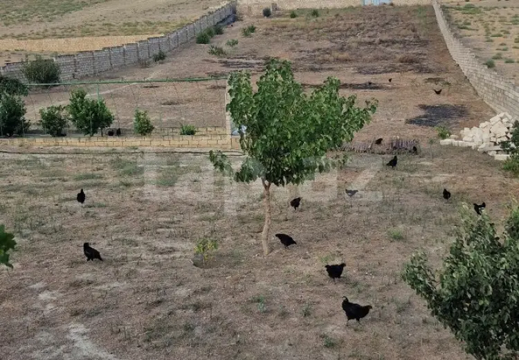 0 m² Obyekt / Ofis , Novxanı, Abşeron