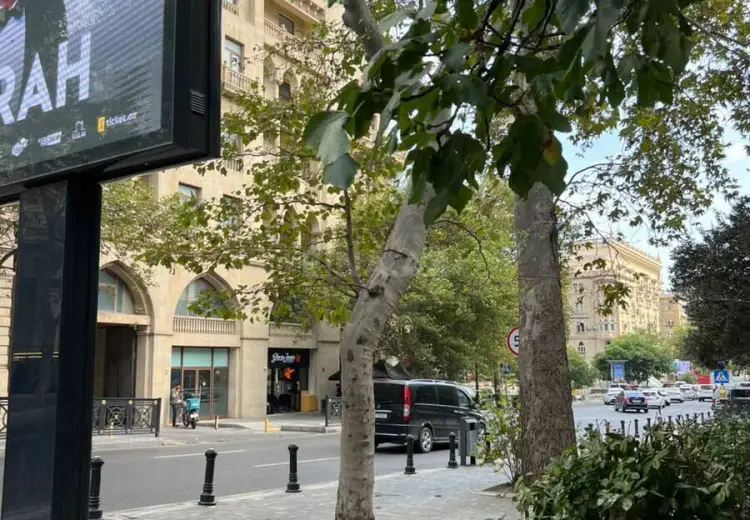 80 m² Obyekt / Ofis Kirayə (aylıq), Nizami, Bakı