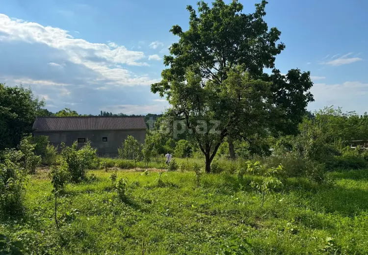 0 m² Obyekt / Ofis , Qusar