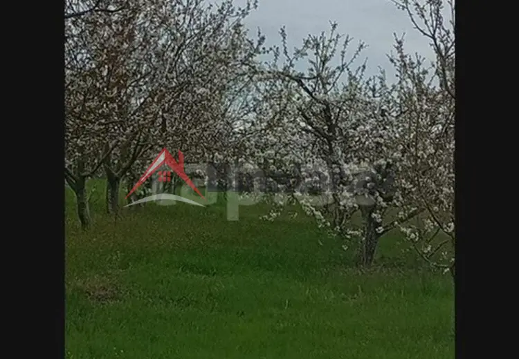 0 sot Torpaq Satılır, Xaçmaz