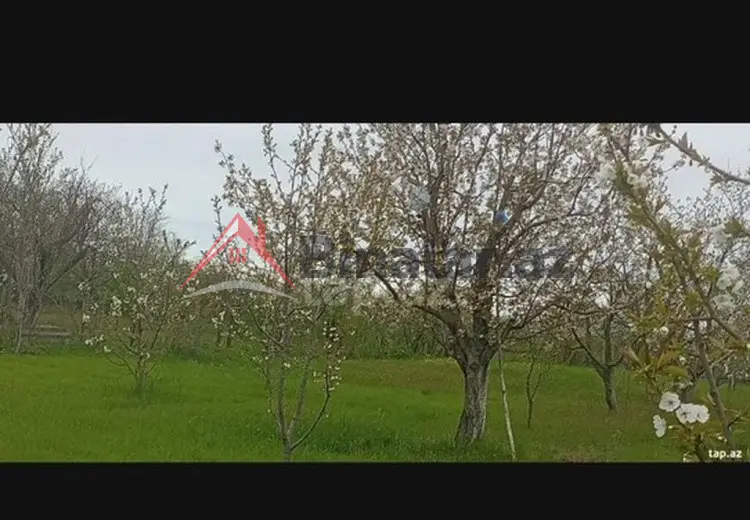 0 sot Torpaq Satılır, Xaçmaz