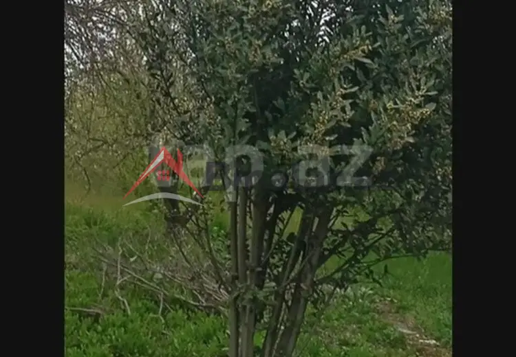 0 sot Torpaq Satılır, Xaçmaz