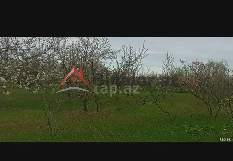 0 sot Torpaq Satılır, Xaçmaz
