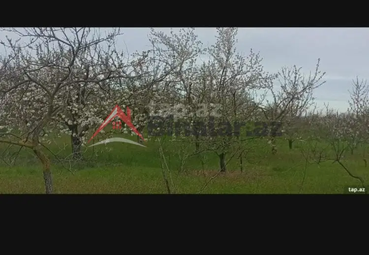 0 sot Torpaq Satılır, Xaçmaz