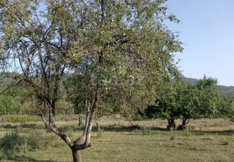 0 m² Obyekt / Ofis , Quba