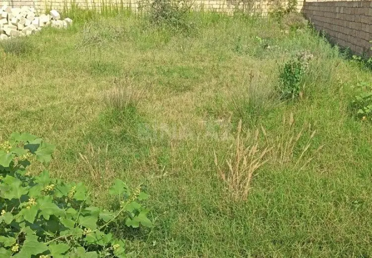 4 sot Torpaq Satılır, Novxanı, Abşeron