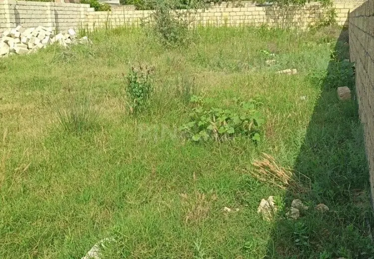4 sot Torpaq Satılır, Novxanı, Abşeron