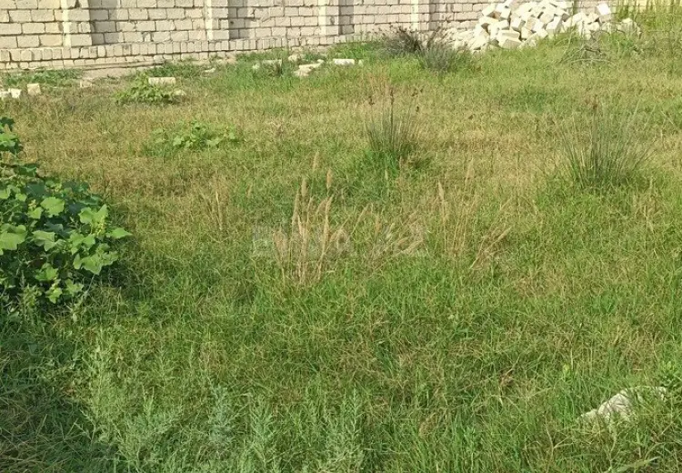 4 sot Torpaq Satılır, Novxanı, Abşeron