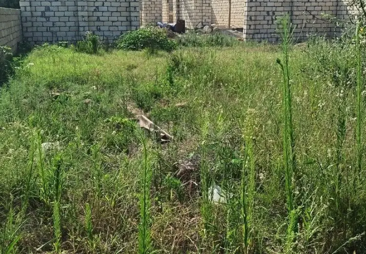 4 sot Torpaq Satılır, Novxanı, Abşeron