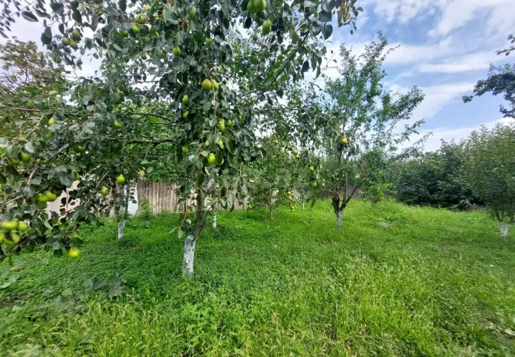 10 otaqlı mənzil , Quba