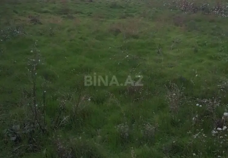 10 sot Torpaq Satılır, Qala, Xəzər, Bakı