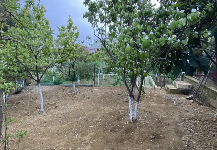 9.1 sot Torpaq Satılır, Xırdalan