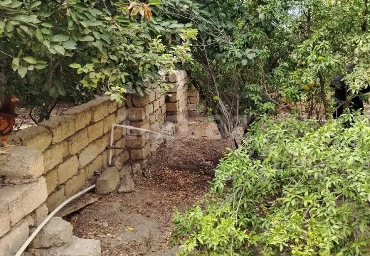 0 m² Obyekt / Ofis , Saray, Abşeron