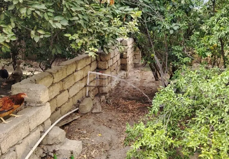 0 m² Obyekt / Ofis , Saray, Abşeron