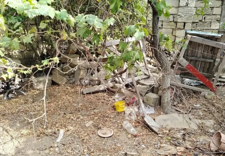 0 m² Obyekt / Ofis , Saray, Abşeron