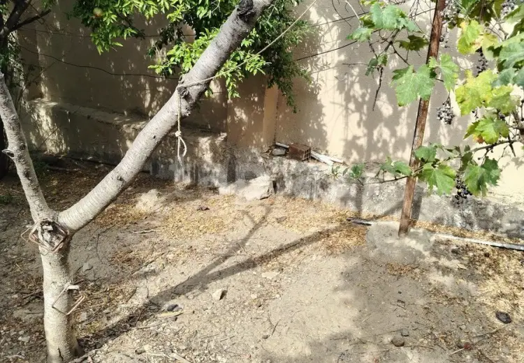 0 m² Obyekt / Ofis , Saray, Abşeron