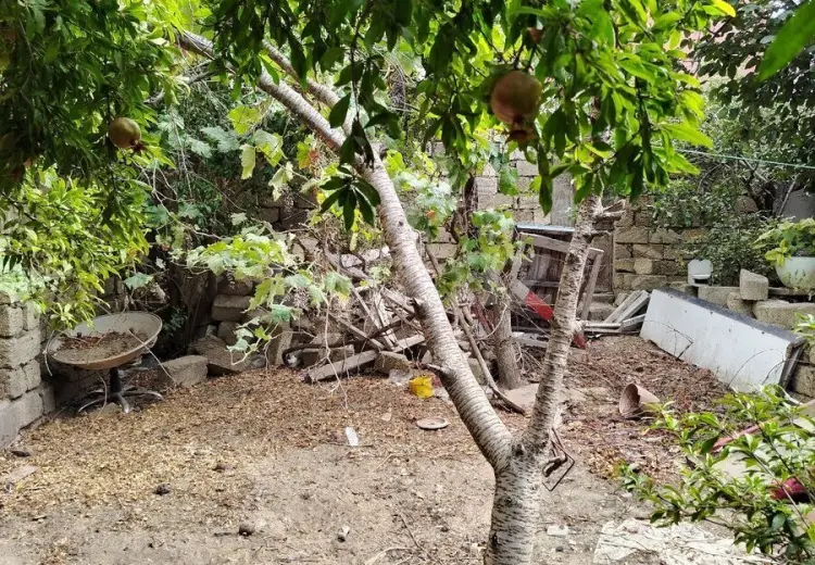 0 m² Obyekt / Ofis , Saray, Abşeron