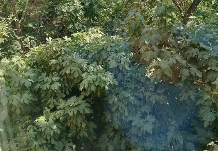 3 otaqlı mənzil Satılır, 4-cü mikrorayon, Nəsimi, Bakı