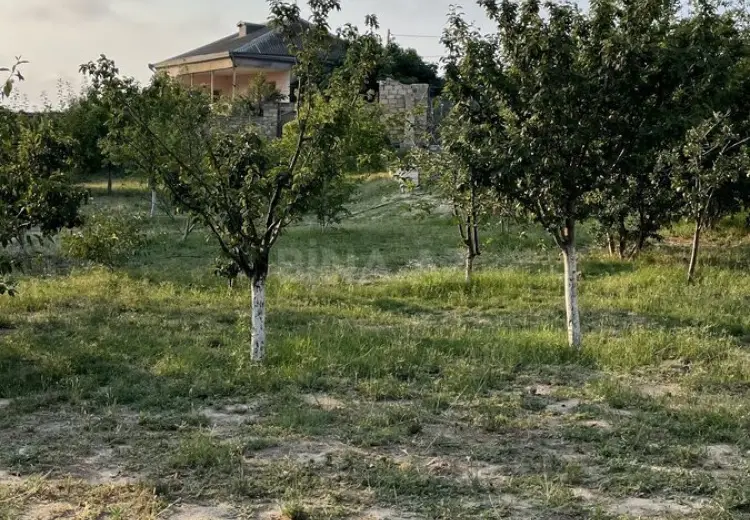 10 sot Torpaq Satılır, Saray, Abşeron