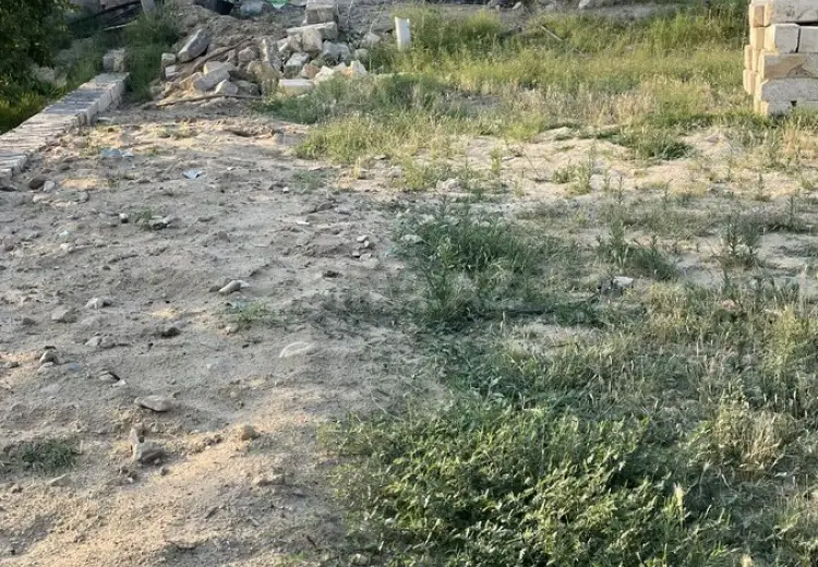 10 sot Torpaq Satılır, Saray, Abşeron