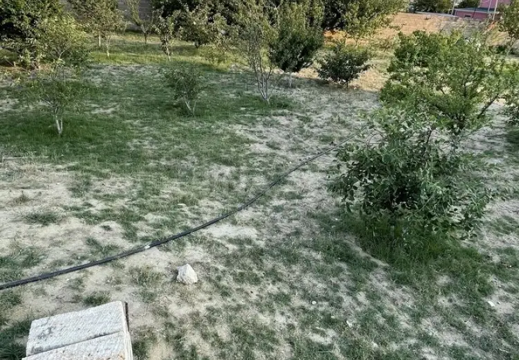 10 sot Torpaq Satılır, Saray, Abşeron