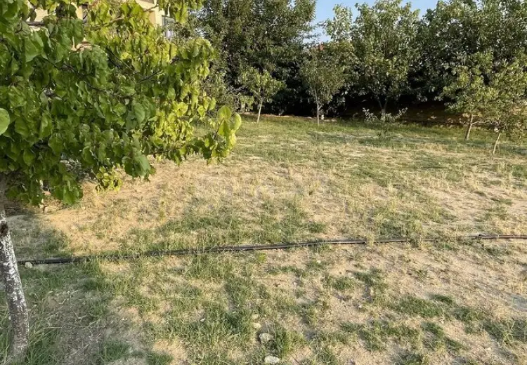 10 sot Torpaq Satılır, Saray, Abşeron